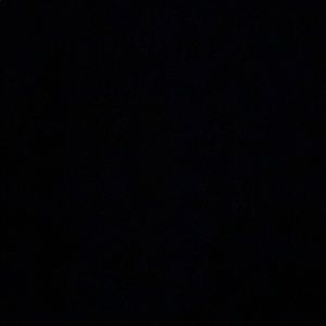 Meet your Posher, Cat